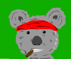Banner del servidor